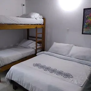 Palm Tree Hostel Medellin
